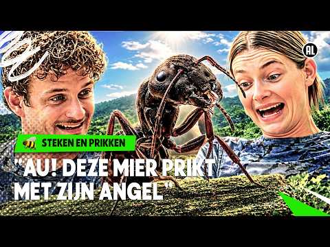 EEN STINKMIER DIE KAN PRIKKEN ALS EEN WESP?! 🐜🐝 | Steken en Prikken | S6 #2| NPO Zapp thumbnail