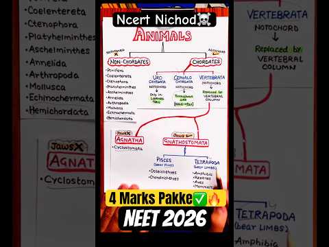 4 Marks Pakke☠️✅| Animal Kingdom निचोड़?| Neet 2026 thumbnail