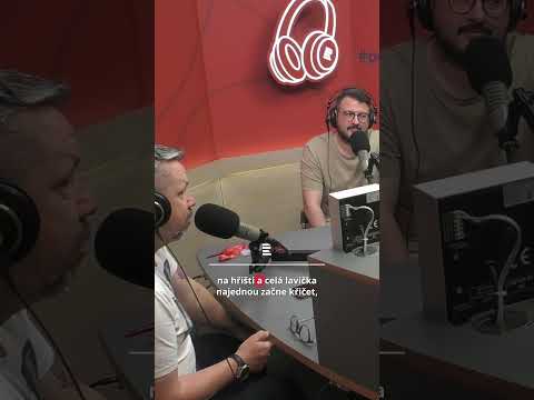 Pavel Horváth nesouhlasí s názorem Briana Priskeho ohledně zákroku Lewise Azaky thumbnail