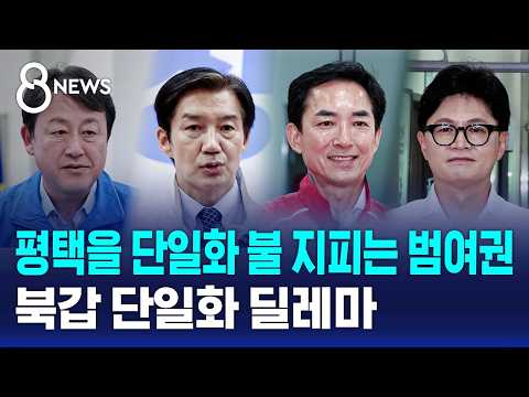 평택을·부산 북갑 '단일화'가 변수..셈법 제각각 / SBS 8뉴스 / 2026 국민의 선택 thumbnail