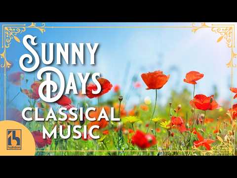 Sunny Days Classical Music thumbnail