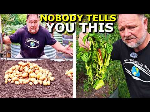 Growing Your Own Food is Not What You Think thumbnail