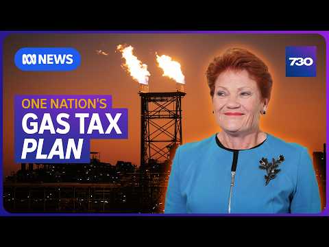 One Nation proposes overhaul of gas industry | 7.30 thumbnail