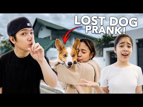 LOST Dog Prank On Girlfriend!! (Umiyak haha!) | Ranz and Niana thumbnail