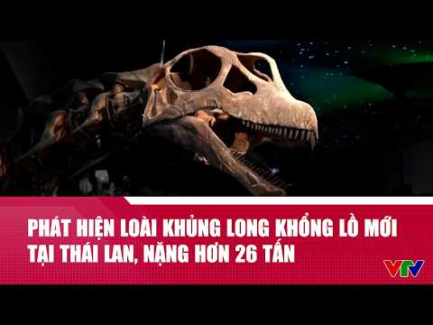 Phát hiện loài khủng long khổng lồ mới tại Thái Lan, nặng hơn 26 tấn | Cụm tin| VTV24 thumbnail