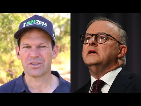 Matt Canavan accuses Albanese of being ‘scared’ of the Australian people thumbnail