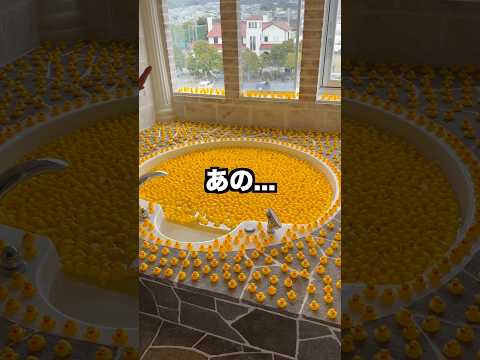 社長の風呂がアヒル1000匹で溢れてるドッキリ thumbnail