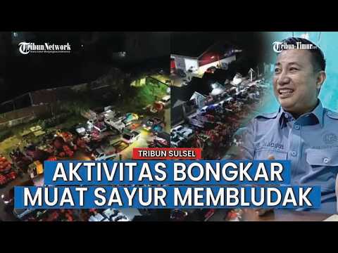 Penampakan Aktivitas Bongkar Muat Sayur di Terminal Malengkeri usai Pedagang Direlokasi thumbnail