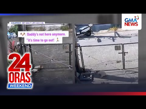 USAPANG PETS Alagang aso, huli-cam na tumatakas | 24 Oras Weekend thumbnail