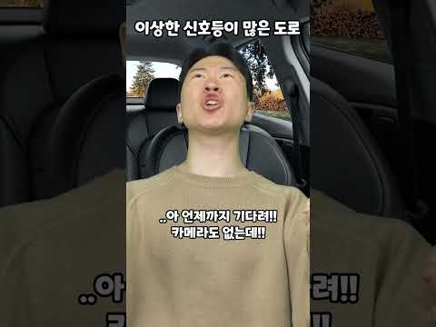 이상한 신호등이 많은 도로 thumbnail