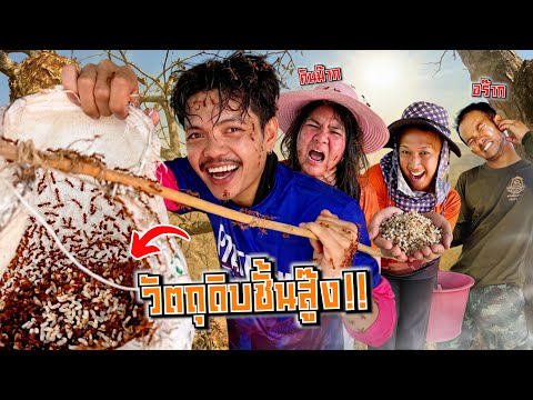 ตลุยป่าตามล่าวัตถุดิบชั้นสู๊ง!! "ไข่มดเเดง" มันอร่อยเเละคั๊นคัน...จะบร้า!! thumbnail