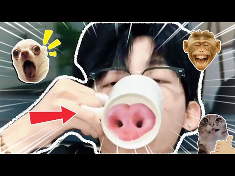 They’re about to go crazy from all these weirdly shaped cups! thumbnail