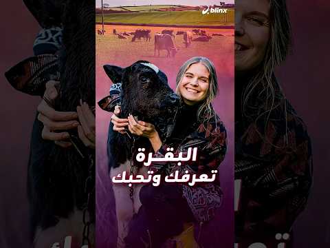 العلم يتوصل أخيراً إلى أن الأبقار? تتعرف على الوجوه وتربط الصوت بالصورة.. ماذا يعني ذلك؟ thumbnail