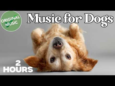 2 HOURS of Dog Relaxing Music 💖🦮 Deep Relaxing Music for Dogs Home Alone thumbnail