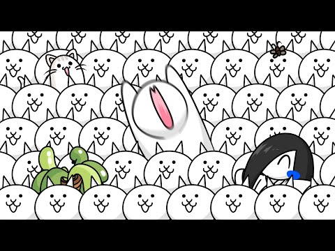 온 세상이 냥코다 thumbnail