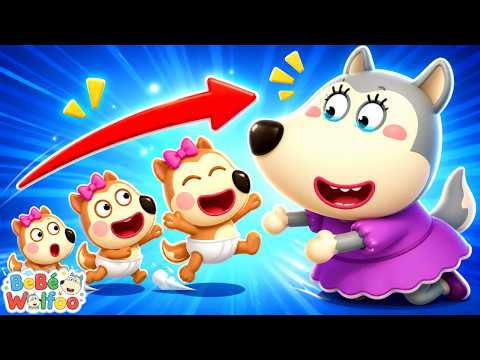 Bebé Wolfoo | ¡Los Primeros Pasos de Lucy! | Dibujos animados para niños thumbnail