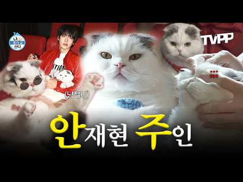 【#TVPP】 인생 2회차 고양이 안주😼의 나혼산 등장 모먼트 모음.zip | 나혼자산다 | TVPP | MBC 240412 방송 외 thumbnail