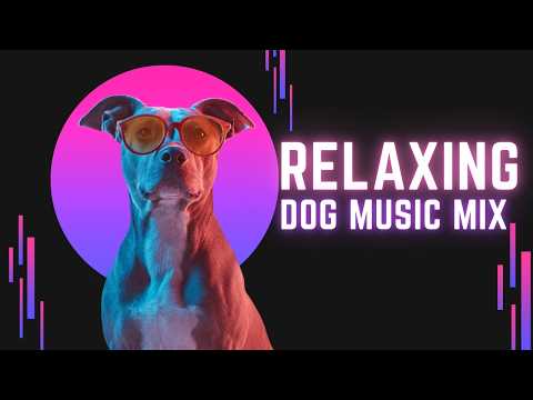 2 HOURS of Dog  Music 🎅🦮 Soothing Sounds & Videos for Restful Canines thumbnail