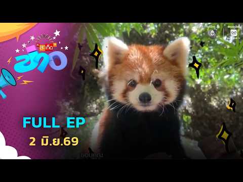 สะเก็ดข่าว | FULL EP | 2 มิ.ย.69 thumbnail
