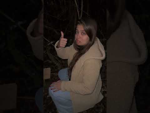 Finalmente descobrimos quem atacou nosso galinheiro! ? thumbnail