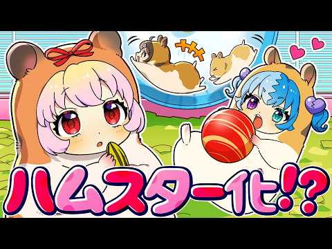 ハムスター化したらどうなるのか？【アニメ】【漫画動画】 thumbnail