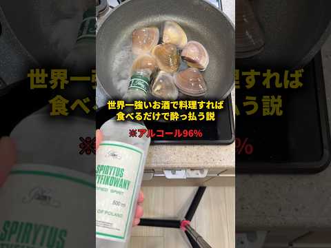 世界一強いお酒で料理すれば食べるだけで酔っ払う説 #おーがすと #検証 thumbnail