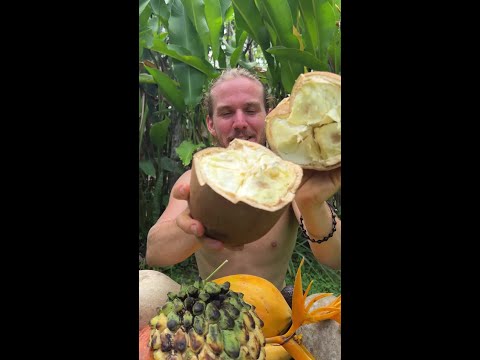 Have You Ever Seen This Fruit Before? thumbnail