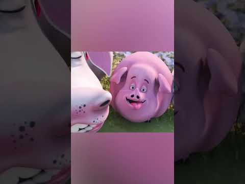 من السخرية إلى المعجزة 🐔✨ thumbnail