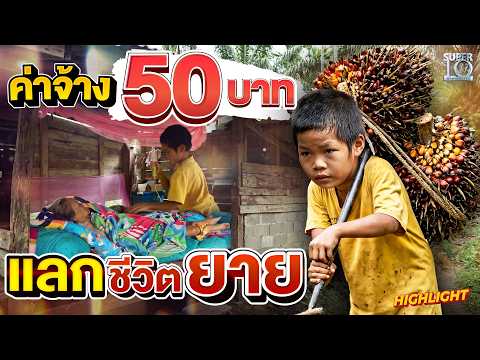 สู้ชีวิตแลกลมหายใจยาย #น้องแสตมป์ เด็ก 9 ขวบ แบกโลกทั้งใบ HIGHLIGHT | SUPER10 thumbnail