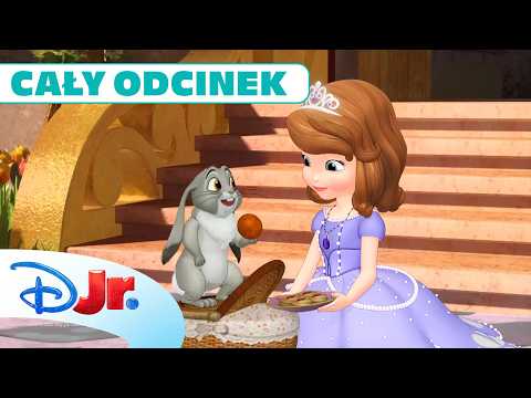 👑 Była sobie księżniczka | Jej Wysokość Zosia (Cały Odcinek) | Disney Junior Polska thumbnail