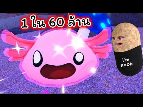 1 ใน 60 ล้าน สไล์มที่หายากและเก่งมาก Roblox Slime RNG thumbnail