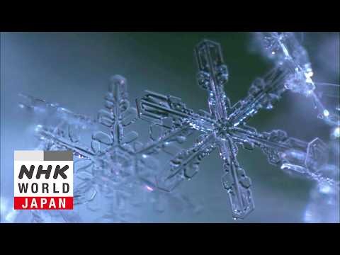 Decoding Climate Change through Snow - Science View thumbnail