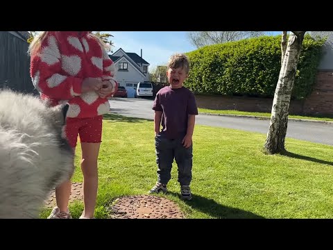Feeding The Ducks With My Hungry Dog!! What Will Happen??  thumbnail