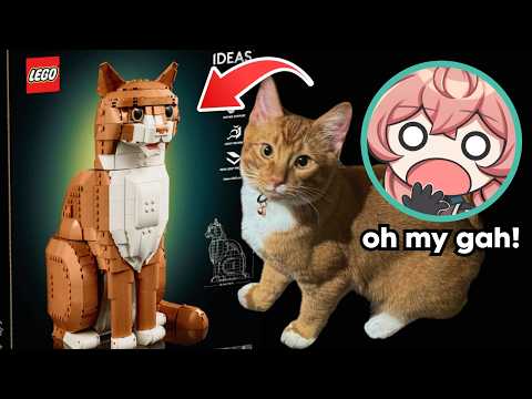 【HANDCAM】My orange cat turned into LEGO?! thumbnail