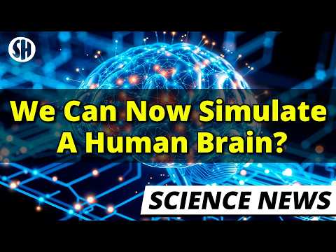 We Can Now Simulate a Human Brain, Scientists Show thumbnail
