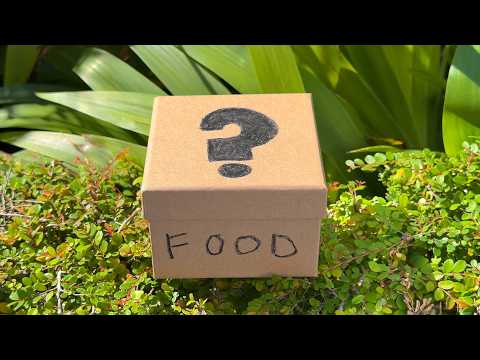 $6 Food Mystery Boxes thumbnail