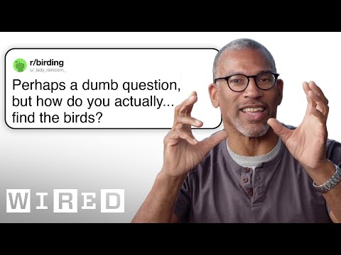 Professional Birder Answers Birding Questions | WIRED thumbnail