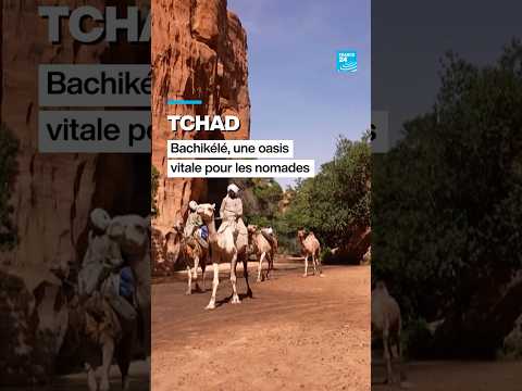 Tchad : Bachikélé, une oasis vitale pour les nomades • FRANCE 24 thumbnail