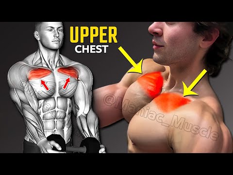 BEST Upper Chest Workout Routines You Need To Know thumbnail