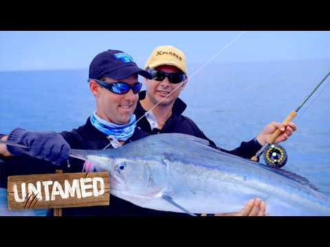 Catching Giant Marlin With Fly Fishing Techniques | The Fishing Show thumbnail