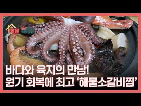 바다와 육지의 만남! 원기 회복에 최고 ‘해물소갈비찜’ MBN 260514 방송 thumbnail