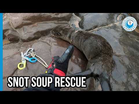 Snot Soup Escape! We Never Give Up! thumbnail