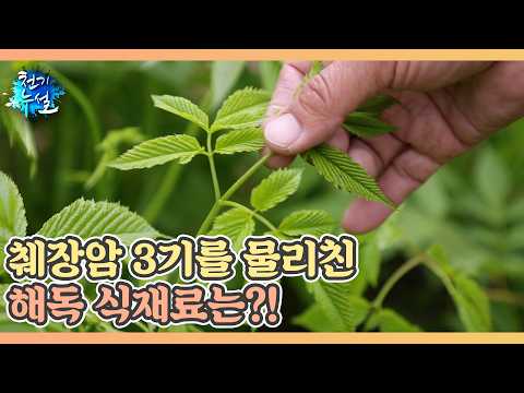 췌장암 3기를 물리친 해독 식재료는?! MBN 260515 방송 thumbnail