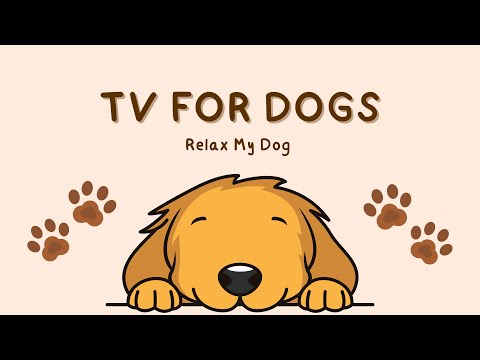 COLOUR GRADED TV for Dogs! Relaxing and Fun Virtual Stimulation  thumbnail