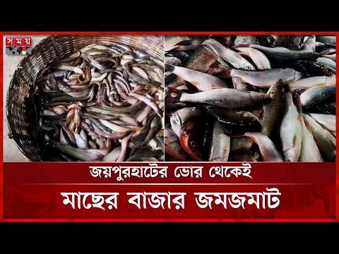 ভোরের আলো ফোটার আগেই জমজমাট জয়পুরহাটে মাছের বাজার | Joypurhat News | Fish Market | Somot TV thumbnail