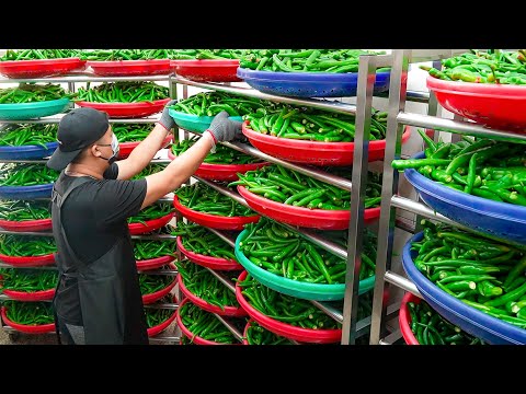 Peeled Chili Pepper Processing, Omakase Menu Dishes / 剝皮辣椒加工廠, 剝皮辣椒無菜單料理 - Taiwanese Food thumbnail