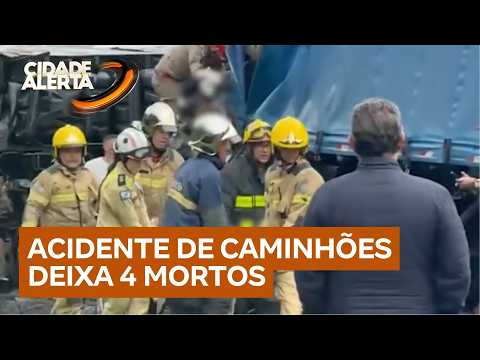 Pneu estoura, caminhão invade contramão e mata quatro pessoas em colisão frontal thumbnail