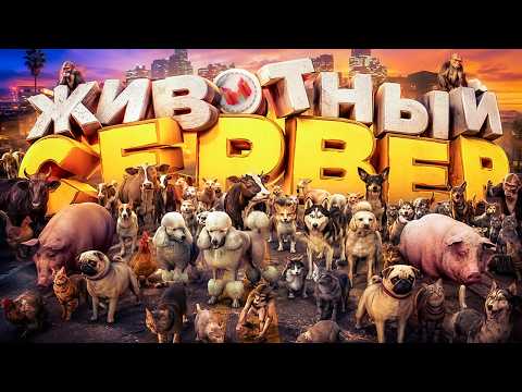 Животный сервер! 🐀🐷🐤 (GTARP) thumbnail