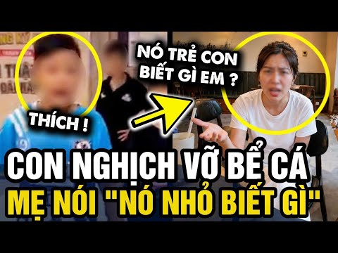 Trẻ NGHỊCH VỠ BỂ CÁ quán cà phê, phụ huynh khẳng định 'NÓ CÒN NHỎ BIẾT GÌ' | Tin 3 Phút thumbnail