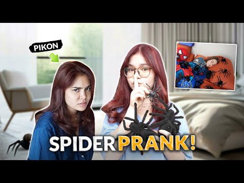 SPIDER REVENGE PRANK! | IVANA ALAWI thumbnail